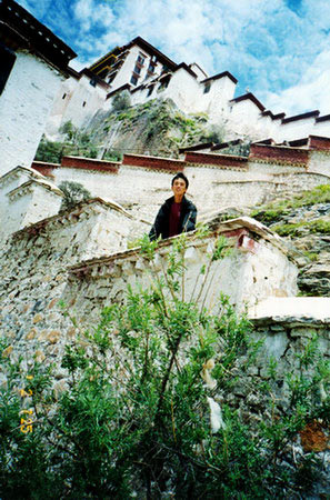川藏南线(38): 层叠而上的布达拉宫墙