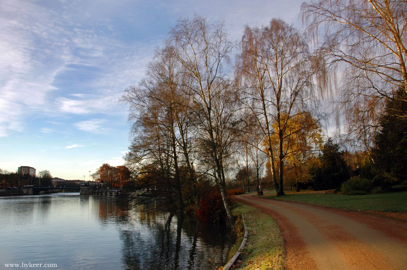 北欧商旅(16): 分隔自然河道和运河的小岛。小道，杨树，洒满金色阳光，像一幅油画。