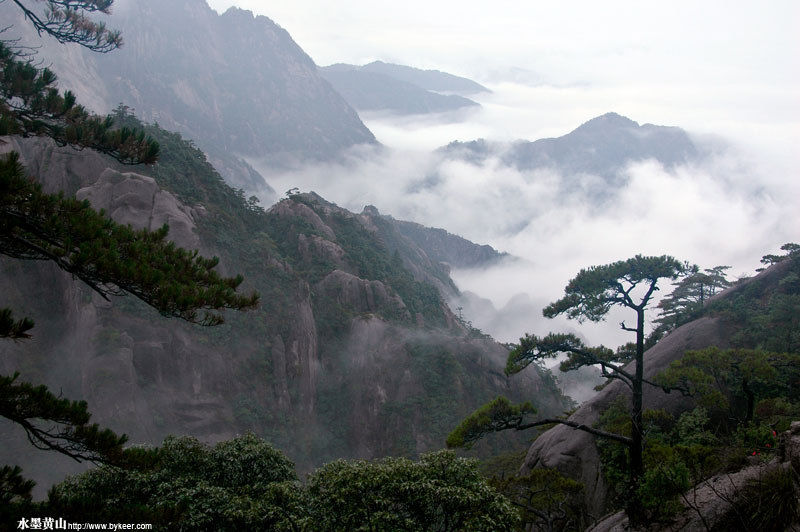 水墨黄山(4): 不一样的风景，在不寻常的高度。谁说不胜寒，起舞弄清影，何似在人间