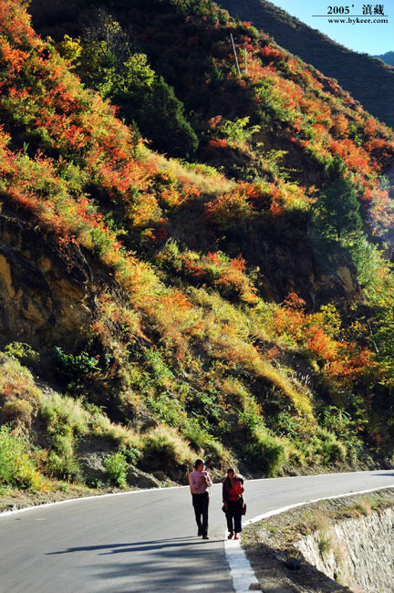 彩云上的旅行(一)(28): 秋天的山 五彩绚烂<br>秋天的旅行 姹紫嫣红