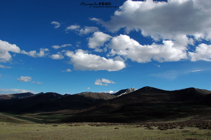 穿越香格里拉(23): 无名山顶的高山草原