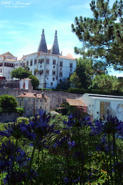 炫色葡萄牙(39-1): Sintra区在Cascais镇以北不远，会议方在Casino Estoril的banquet之前安排了三个小时的游程。<br>Sintra National Palace是曾经的皇宫，Sintra城的标志性建筑。<br>照片中的花朵从没见过，花型有些像石蒜，但在中国从没见过蓝色的。