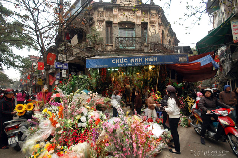 I LOVE VIETNAM(一)(11): 老街上的鲜花店